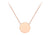 9ct Rose Gold Necklace with Disc