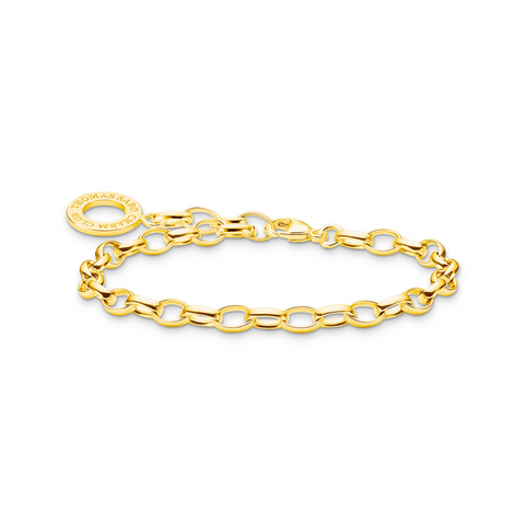 Yellow gold plated charm bracelet