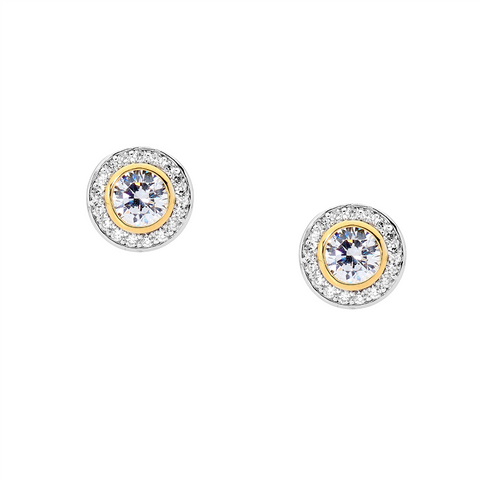 Silver and gold plated earrings