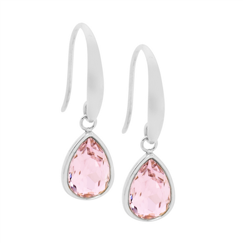 Stainless steel earrings