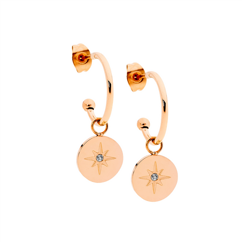 Rose gold plated star disc earrings