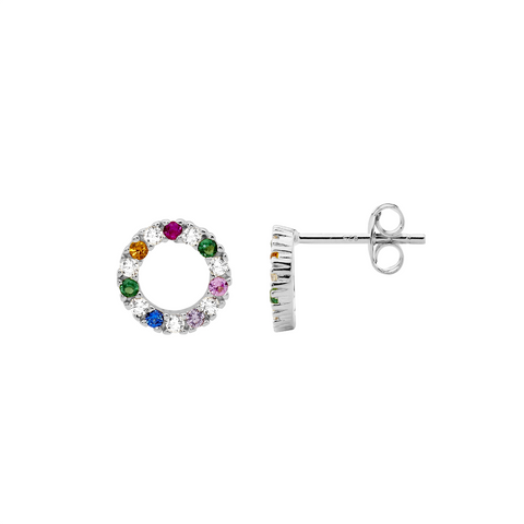 Mutlicoloured Stud Earrings