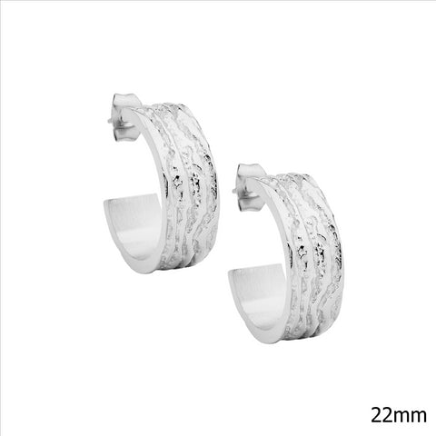 Stainless steel hoops