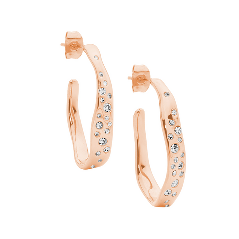 Rose gold plated earrings