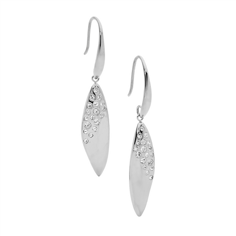 Stainless steel earrings