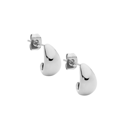 Staless steel earrings