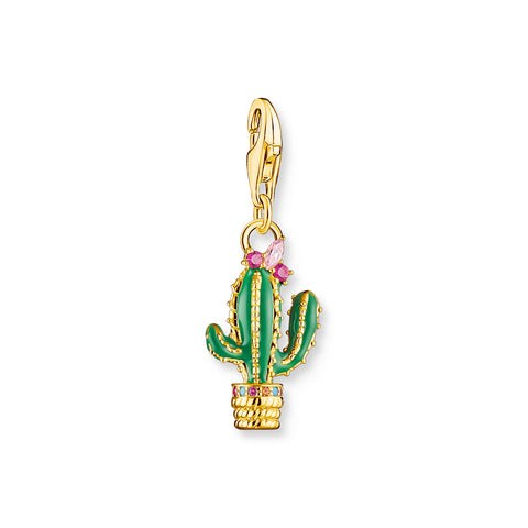 Cactus charn